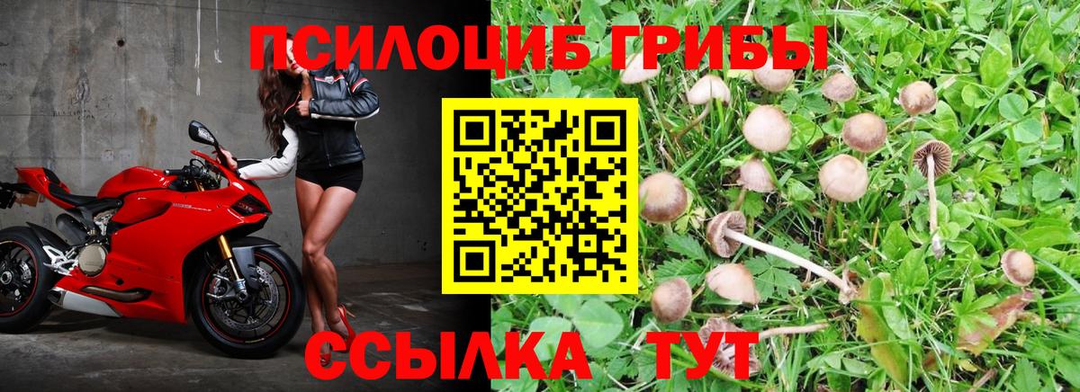 Галлюциногенные грибы прущие грибы Шали